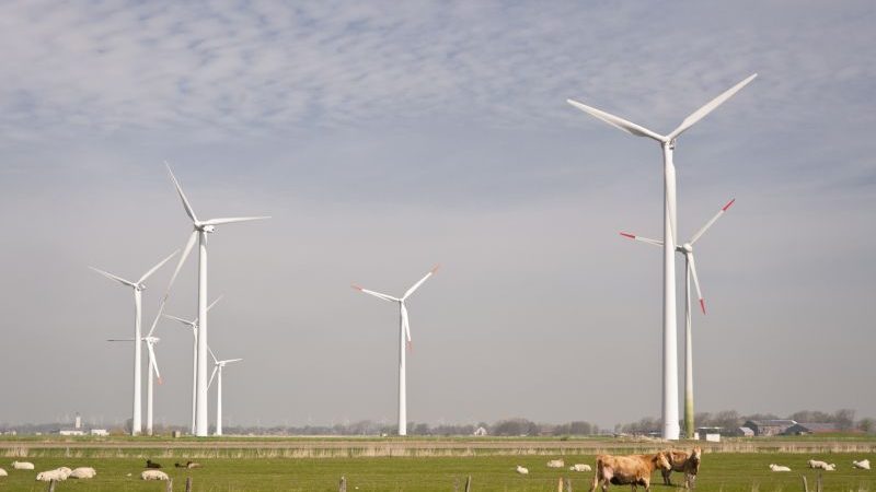 Vom Winde verweht in Schleswig-Holstein